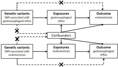 The causal role of gastroesophageal reflux disease in endometriosis: a bidirectional Mendelian randomization study